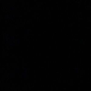 Meet your Posher, Cassidy